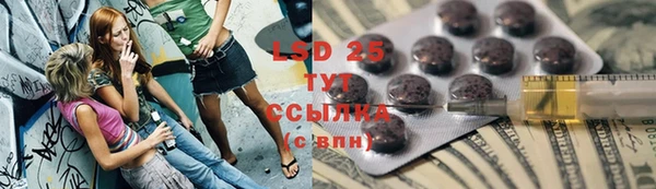 ПСИЛОЦИБИНОВЫЕ ГРИБЫ Алексеевка